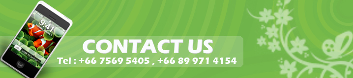 contact